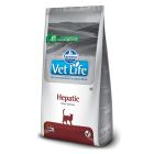 Vetlife Cat Hepatic με Κοτόπουλο 400gr