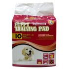 Hushpet Πάνες Δαπέδου 60x60cm 10τμχ