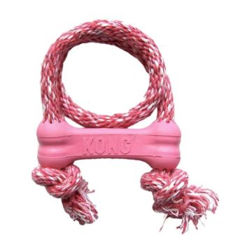 KONG Puppy Goodie Bone