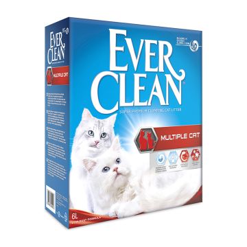 Everclean Multiple Cat 6L