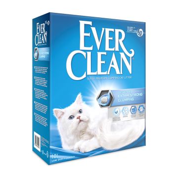 Everclean Extra Strong Unscented 10L