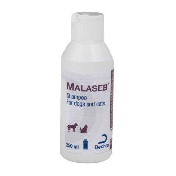 Malaseb Shampoo 250ml
