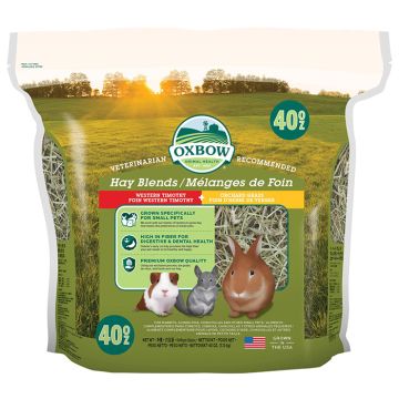 Oxbow Χόρτο Hay Blends 1.13kg
