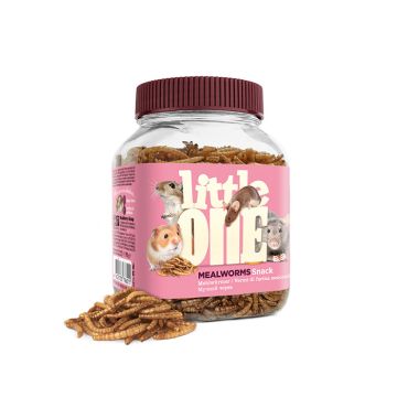 Little One Σνακ με Αποξηραμένα Σκουλήκια 70gr