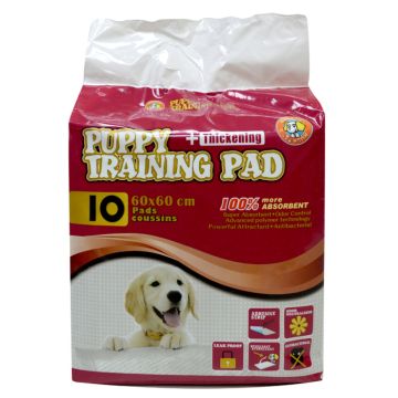 Hushpet Πάνες Δαπέδου 60x60cm 10τμχ