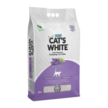 Cat's White Lavender 10L