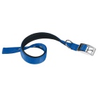 Ferplast Daytona Περιλαίμιο Σκύλου Μπλε L 3x47-55cm