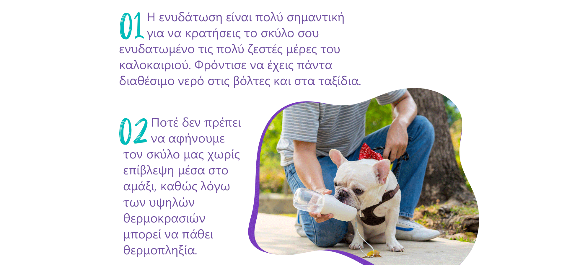 tips zestis