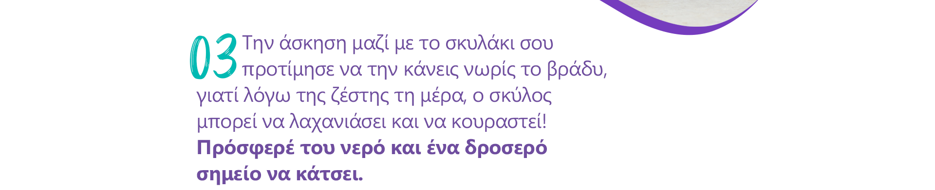 tips zestis