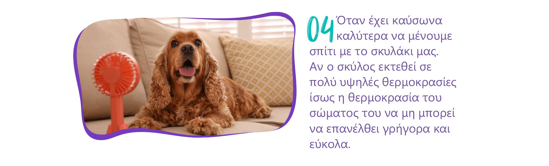 tips zestis