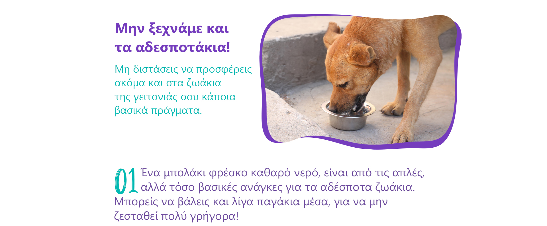 tips zestis