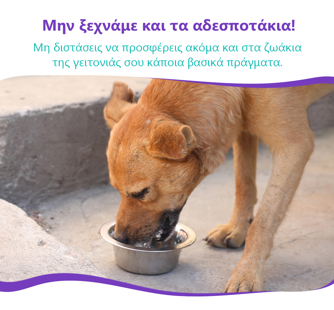 tips zestis