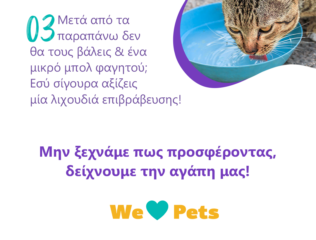 tips zestis
