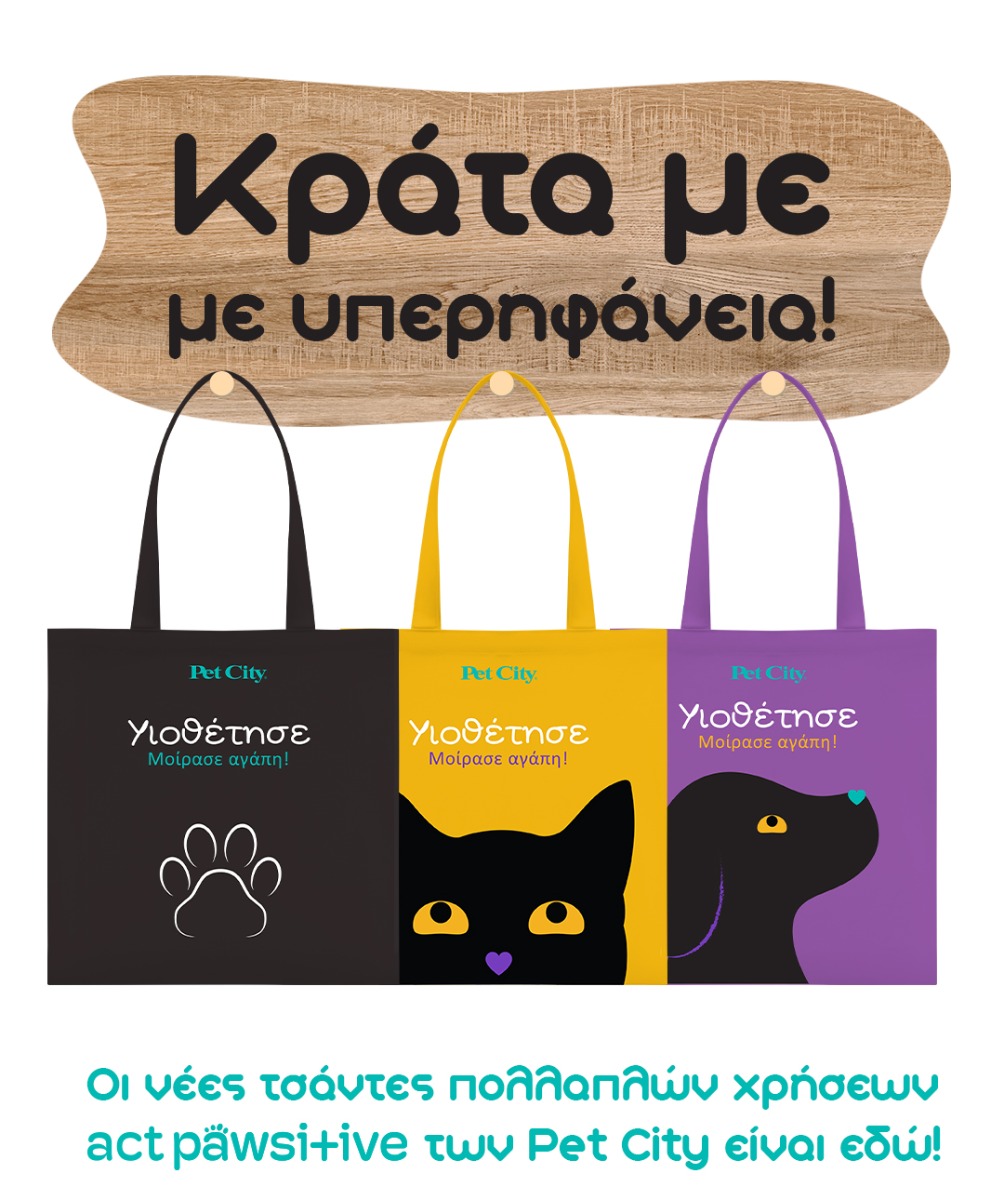 Reusable Bags