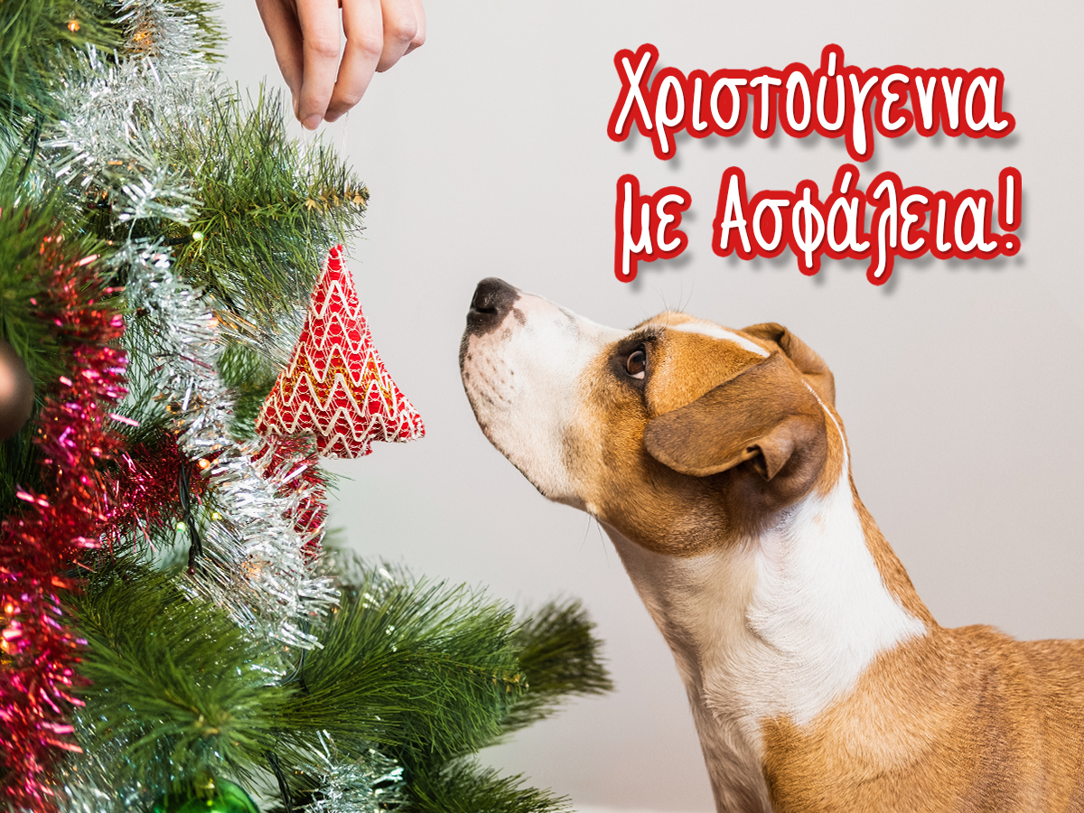Χριστούγεννα με ασφάλεια!