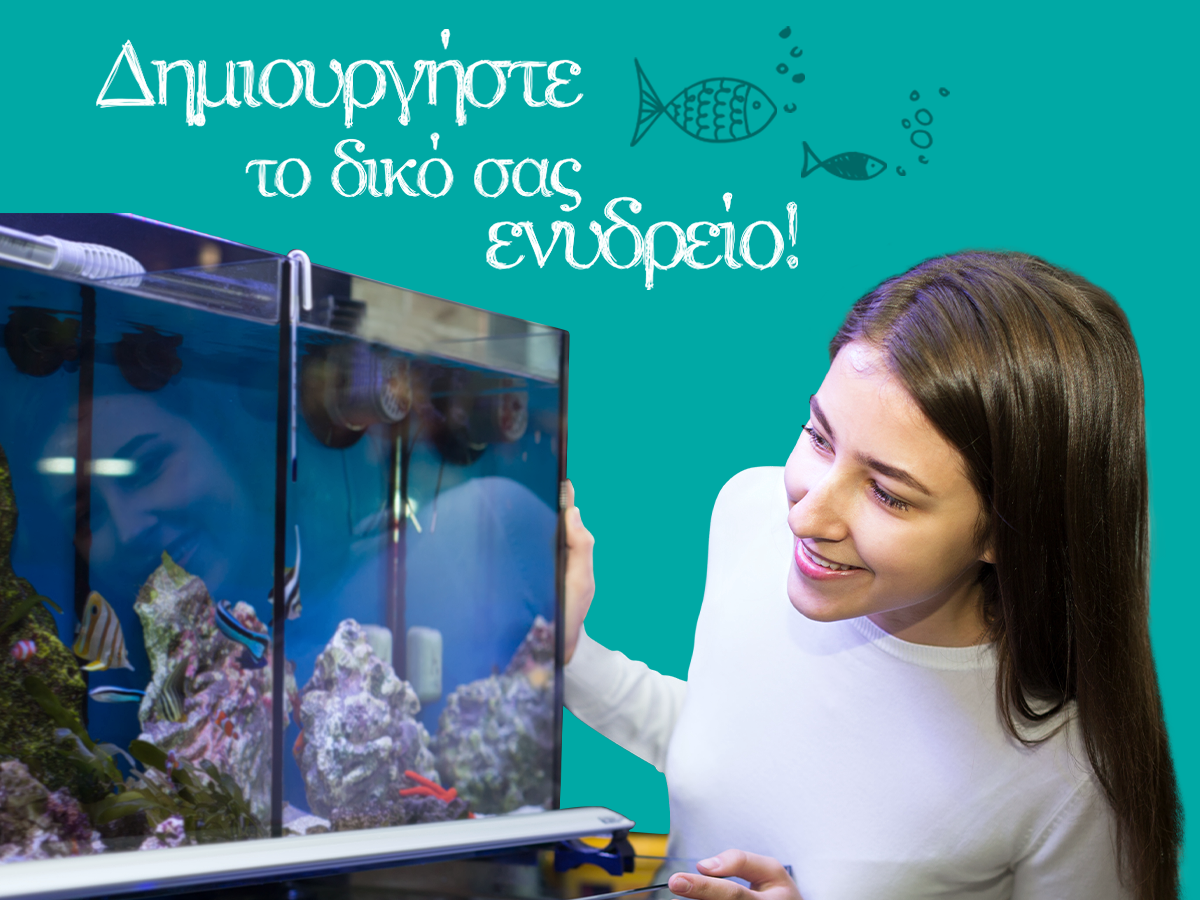 Δημιουργικές ιδέες για ενυδρεία!