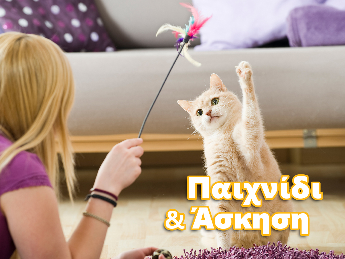 Παιχνίδι και άσκηση για ευεξία