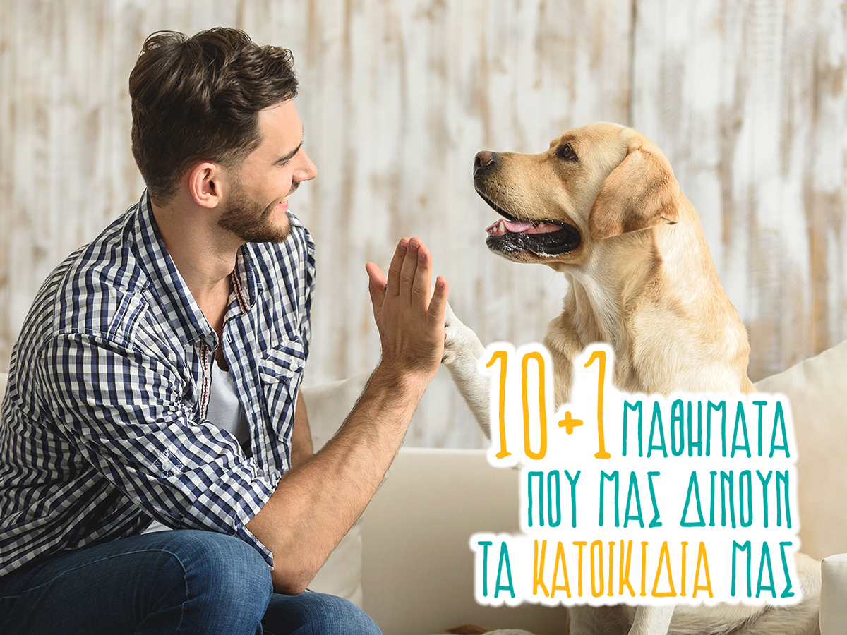 10+1 μαθήματα που μας διδάσκουν τα κατοικίδιά μας