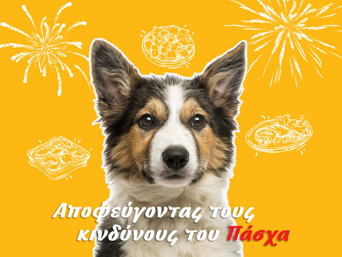 Πασχαλινή περίοδος και κίνδυνοι