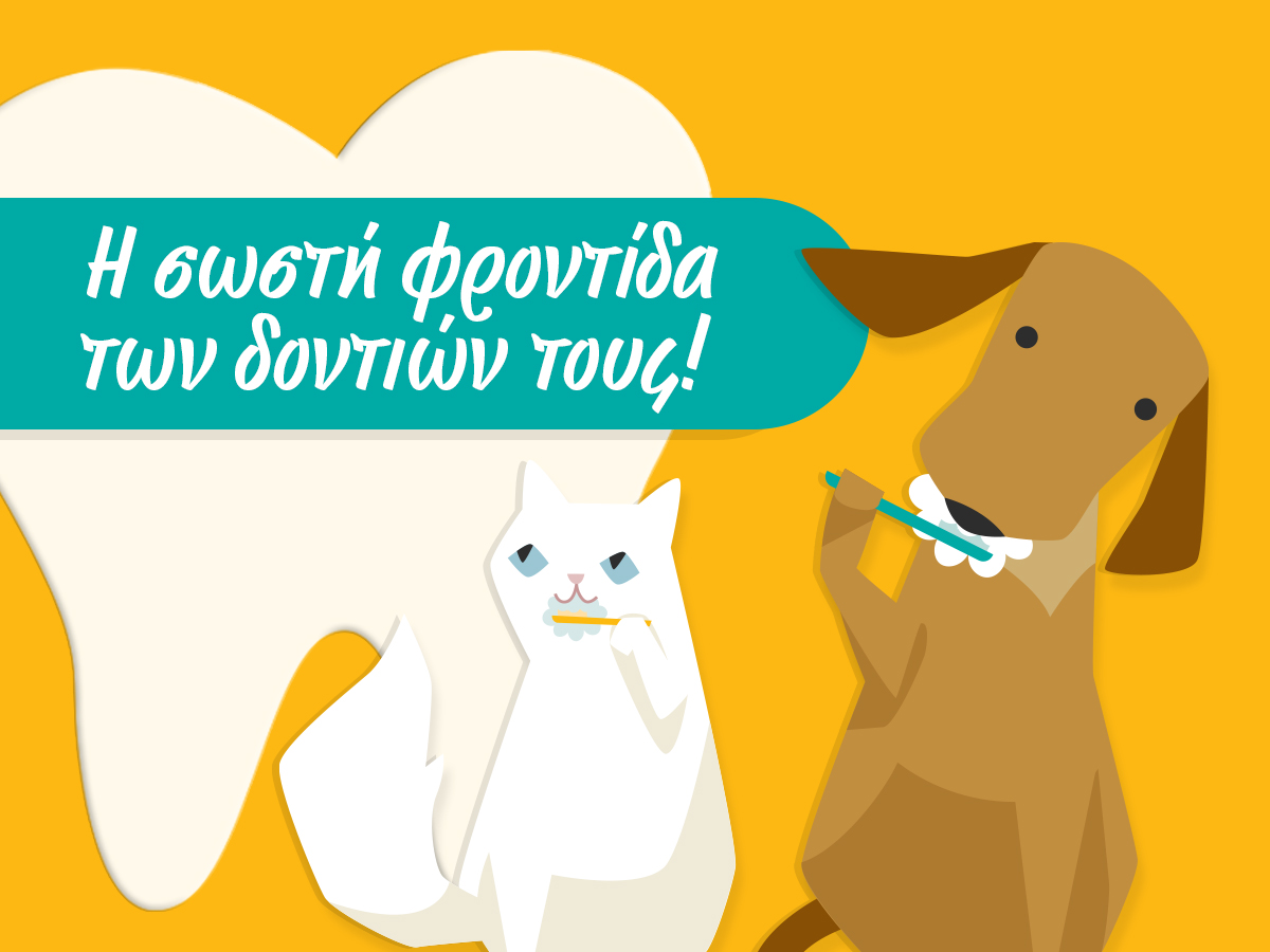 Η σωστή φροντίδα των δοντιών τους!
