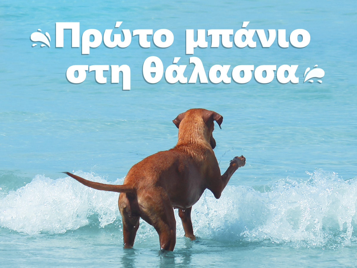 Πρώτο μπάνιο στη θάλασσα!