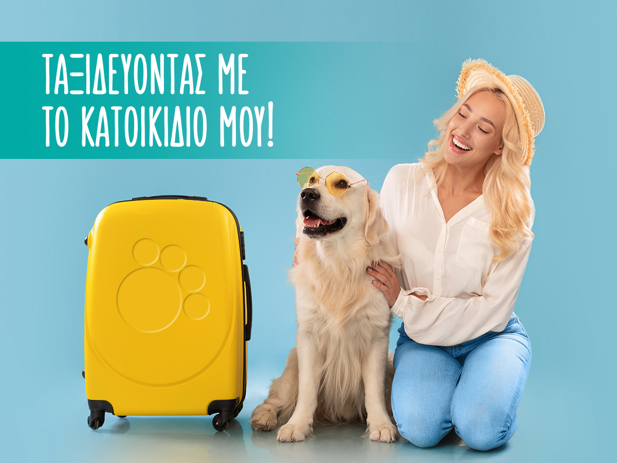 Ταξιδεύοντας με το κατοικίδιό μου