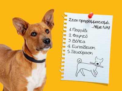 Στον προγραμματισμό λέμε ΝΑΙ!