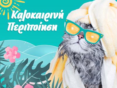 Η καλοκαιρινή περιποίηση της γάτας σας