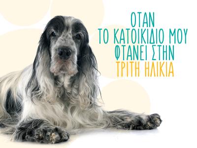 Φροντίζοντας σωστά το ηλικιωμένο κατοικίδιό μου