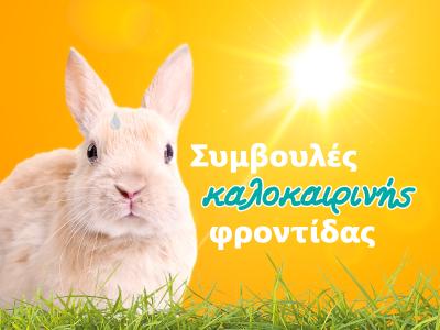 Κουνέλι & ζέστη: συμβουλές καλοκαιρινής φροντίδας