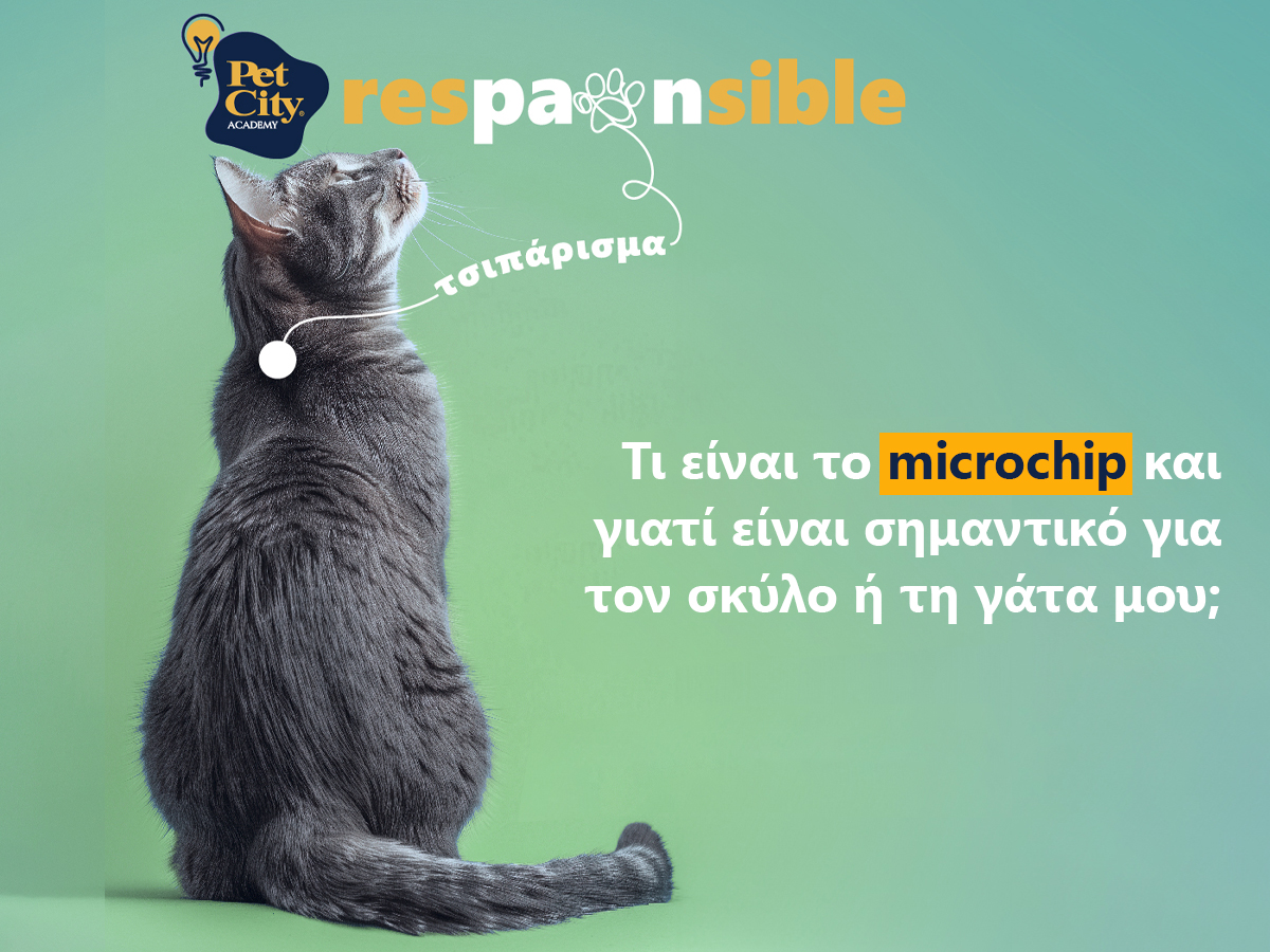 Τι είναι το microchip και γιατί είναι σημαντικό για τον σκύλο ή την γάτα μου;
