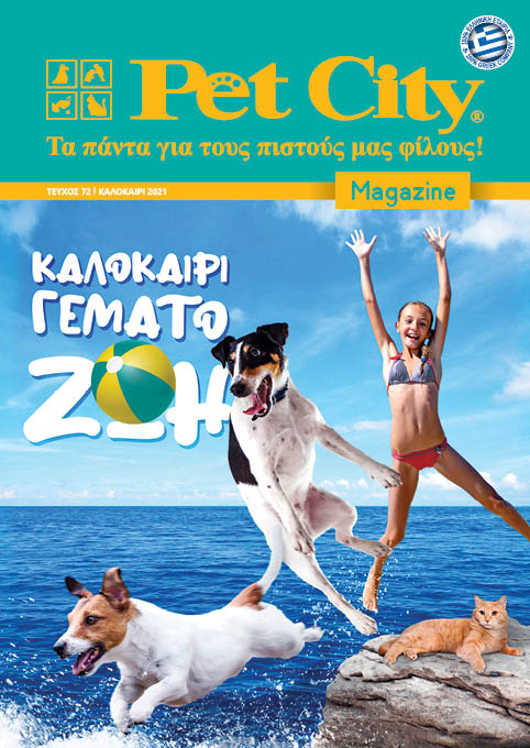 summer_2021