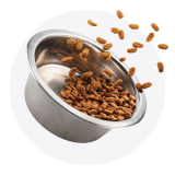 &Xi;&eta;&rho;ά &Tau;&rho;&omicron;&phi;ή &Sigma;&kappa;ύ&lambda;&omicron;&upsilon;