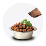 &Upsilon;&gamma;&rho;έ&sigmaf; &Tau;&rho;&omicron;&phi;έ&sigmaf; &Sigma;&kappa;ύ&lambda;&omicron;&upsilon;