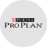 Pro Plan