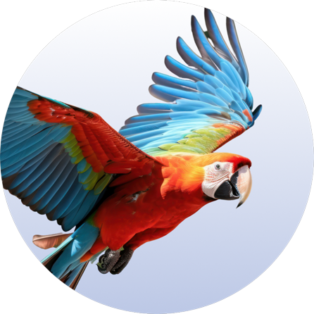 Category Menu - Dog Item