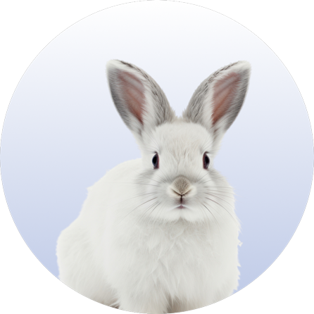 Category Menu - mikro zoo Item