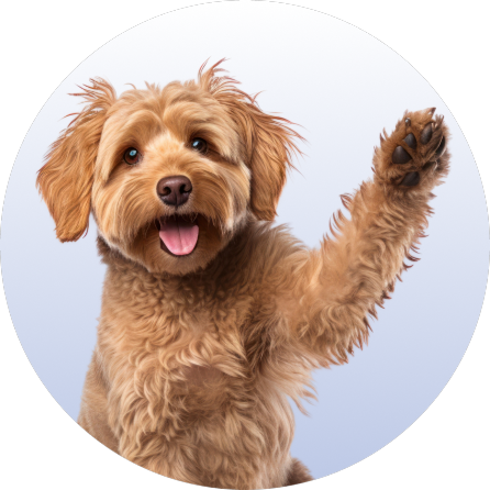 Category Menu - Dog Item